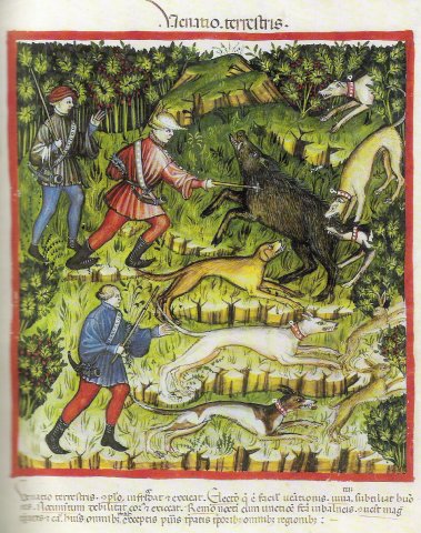 venatioterrestriscacciacinghiale