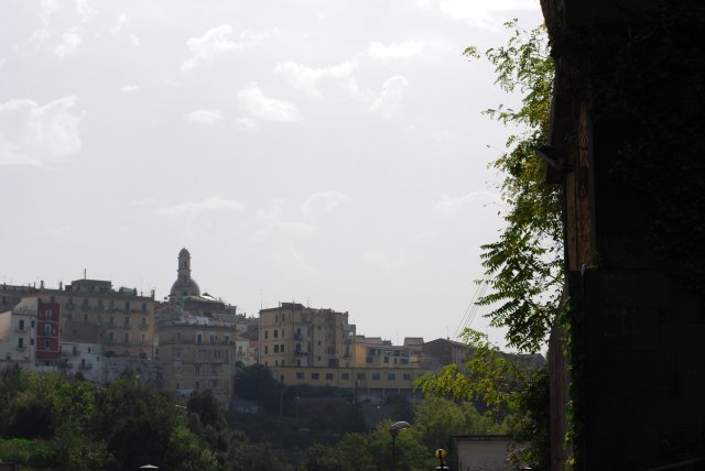 dsc_0164